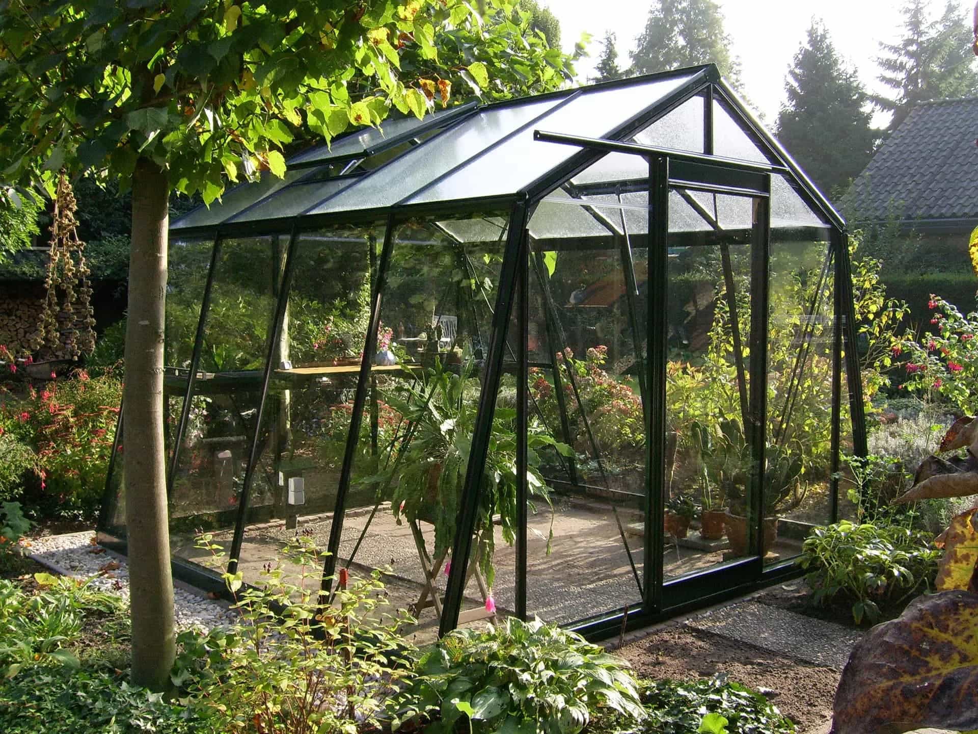Impressie van een tuin met een glazen kas. De tuinkas heeft zwarte aluminium profielen en een puntdak. In de kas zien we planten.